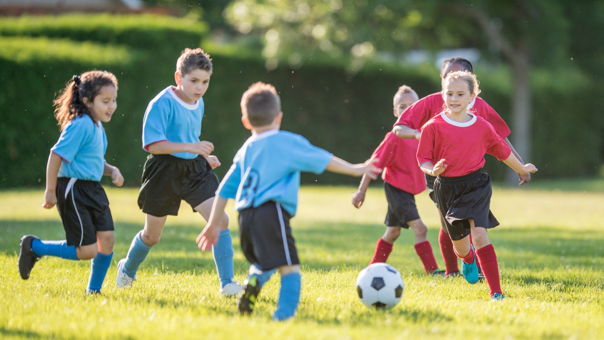 Kids in a Soccer Match